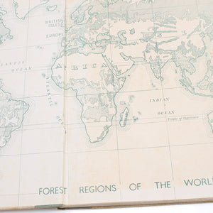 Old Wood Specimens Book with Old Maps - OldTools.co.uk