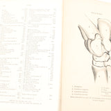 Old Horses & Stables Book (C.1894) & Everyday Farriery Book