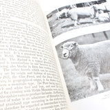 3x Old Farming and Diseases Of Poultry Books