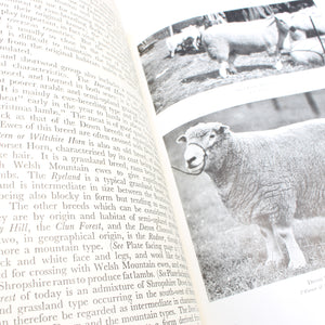 3x Old Farming and Diseases Of Poultry Books