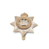 The Devonshire Regiment Cap Badge