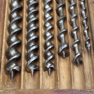 Old 3-Tier Wooden Boxed Twist Auger Drill Bits (Beech) - OldTools.co.uk