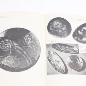 7x Old Jewelry, Enameling, Silver Books - OldTools.co.uk