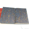 2x Old Rare Limited Edition Violin Restoration Books