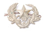 Large Star & Bugle Badge