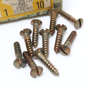 60x Nettlefolds Brass Screws – Light B.M.A – Raised Head – 1" x 10